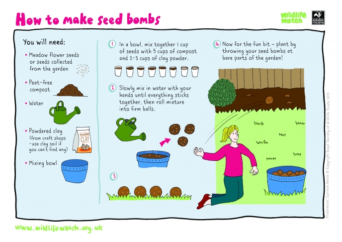 SEED-BOMBS.jpg