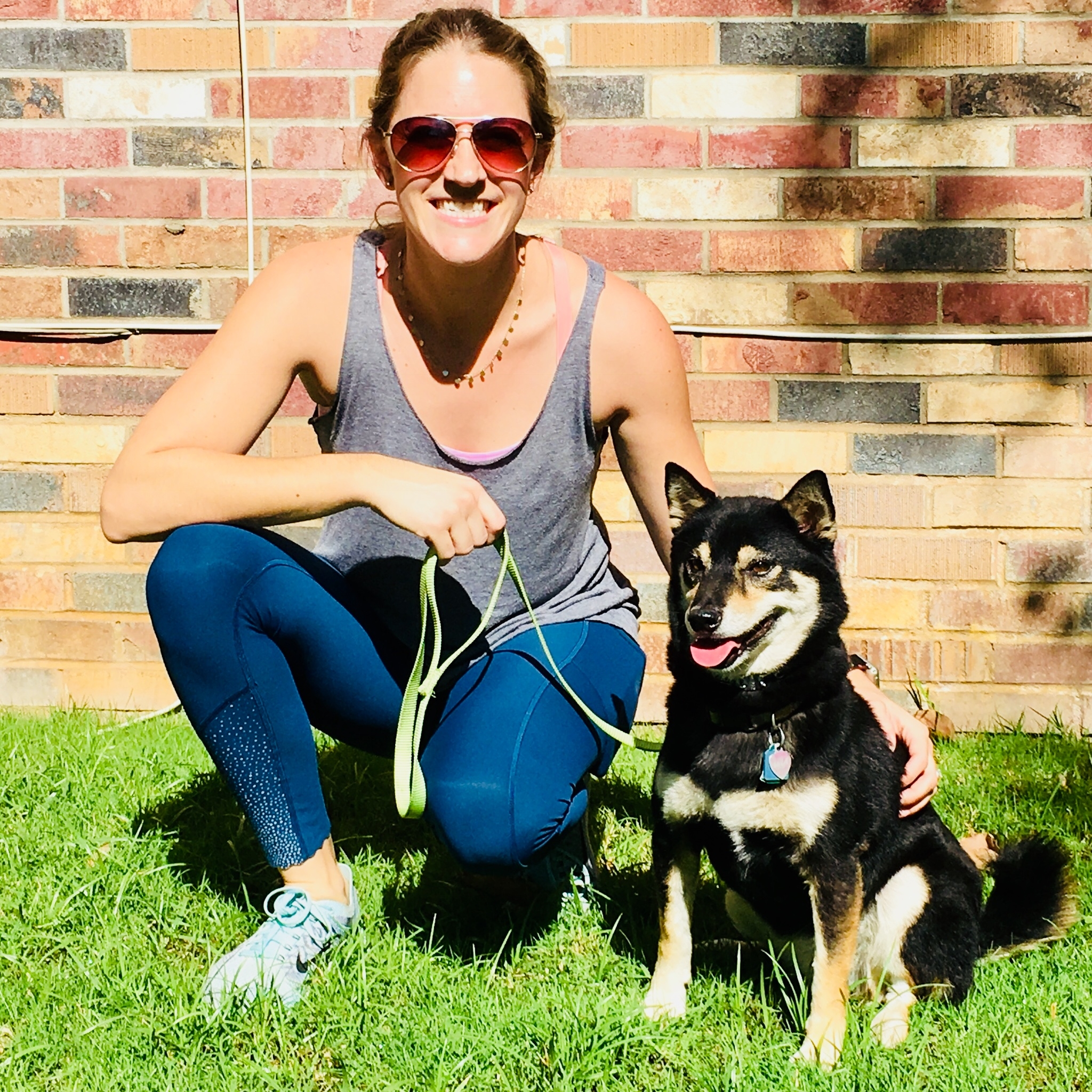 happy dogs happy owners