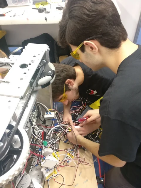 Robotic Eagles