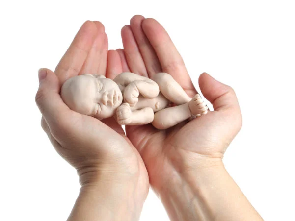 The Abortion Debate
