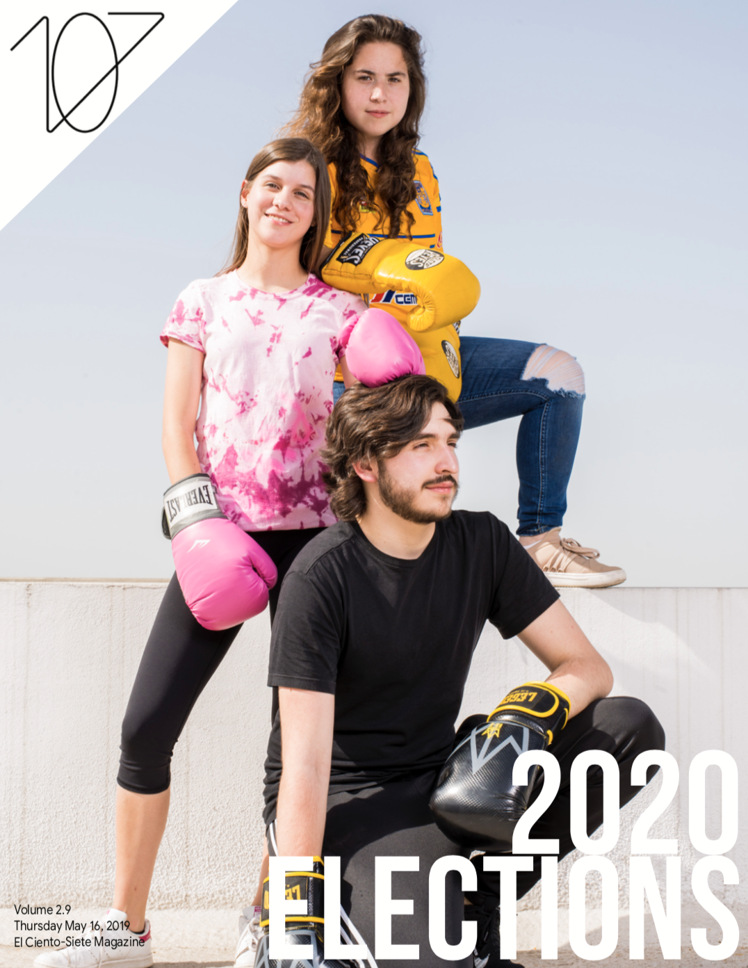 Volume 2.9 | Letter to the Editor