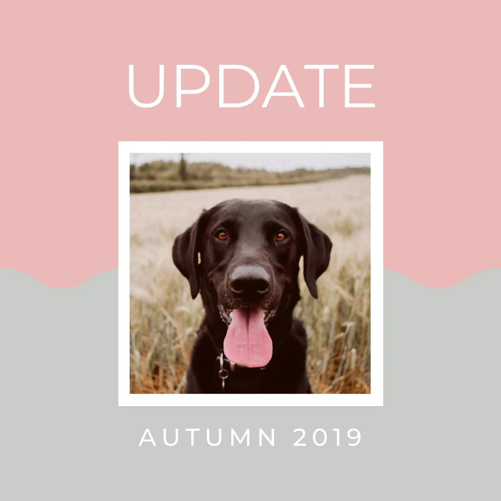 Autumn 2019 Newsletter