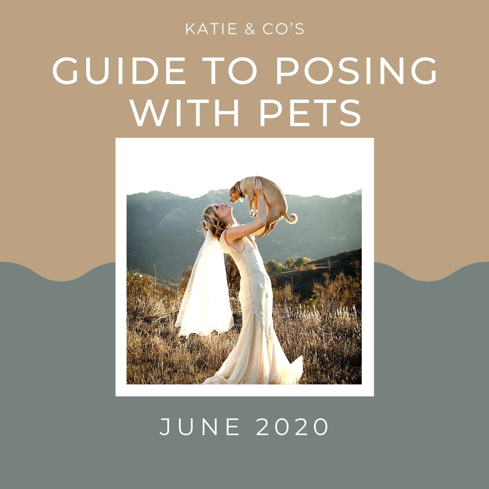 Katie &amp; Co's Guide to Posing with Pets