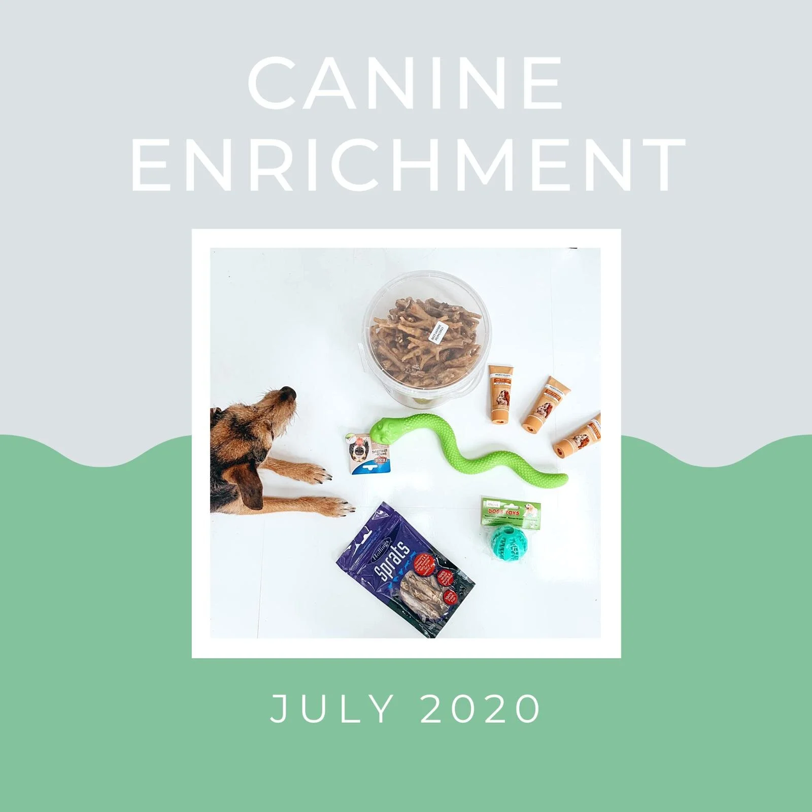 Let's Talk About Enrichment