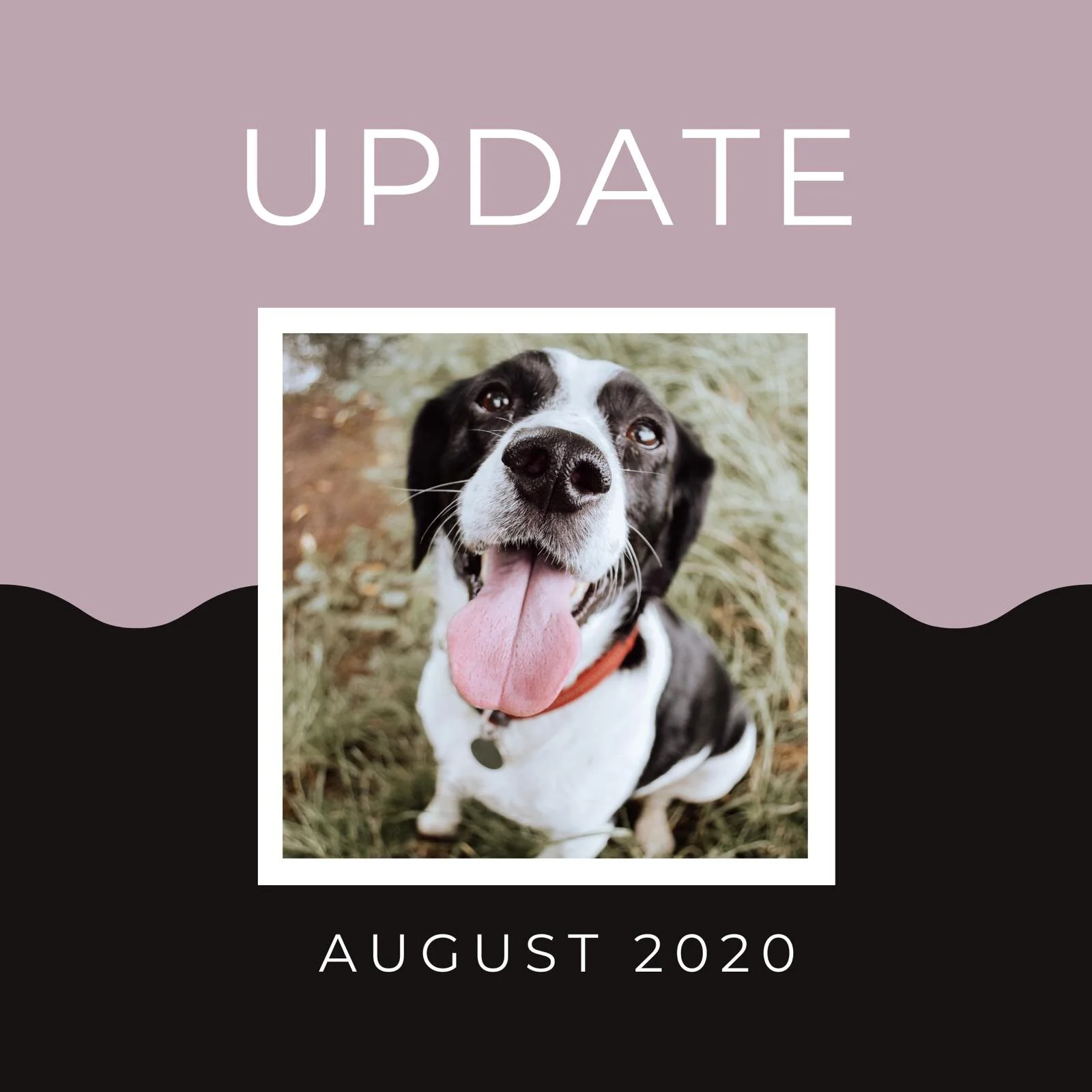 August 2020 Update