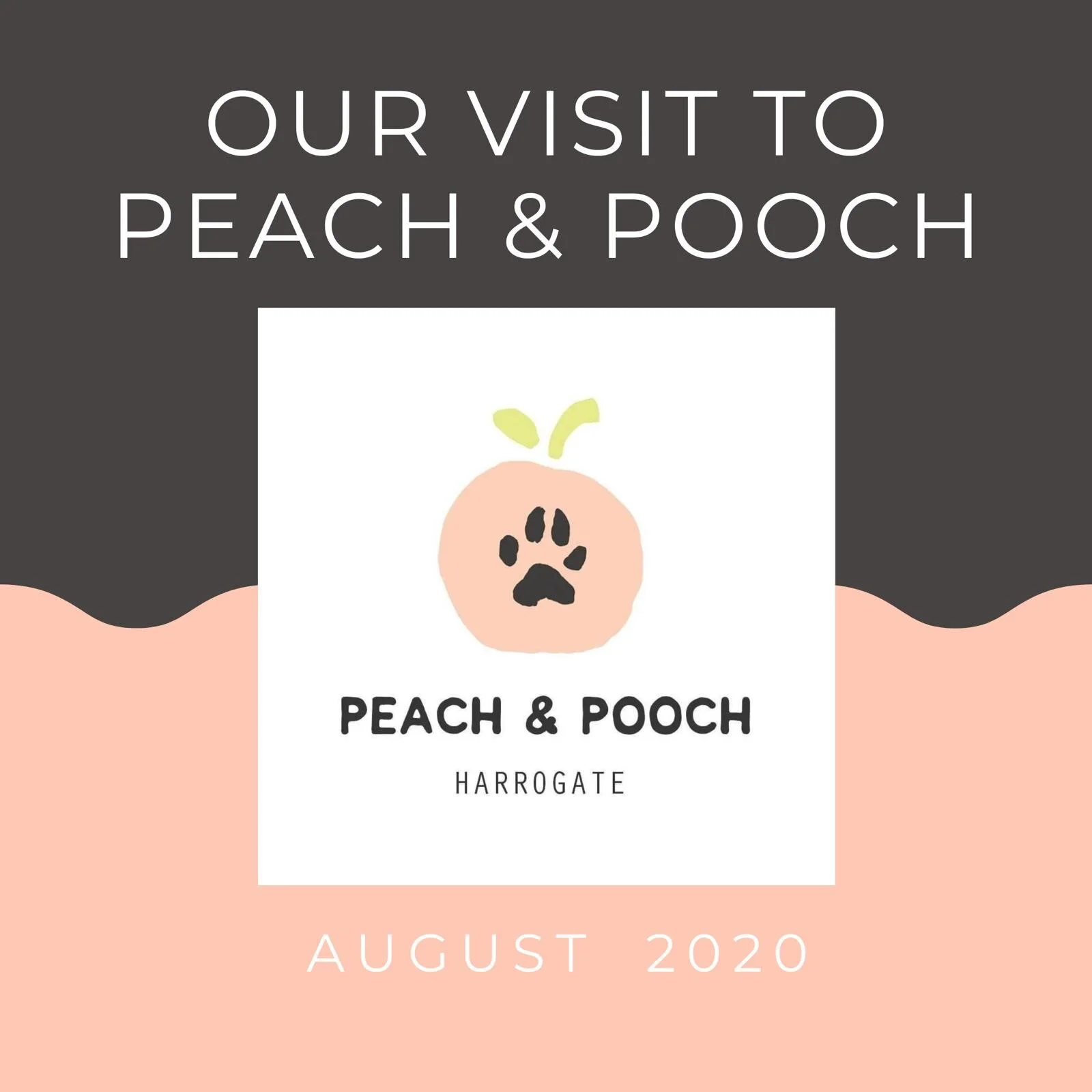 Our Visit To Peach &amp; Pooch