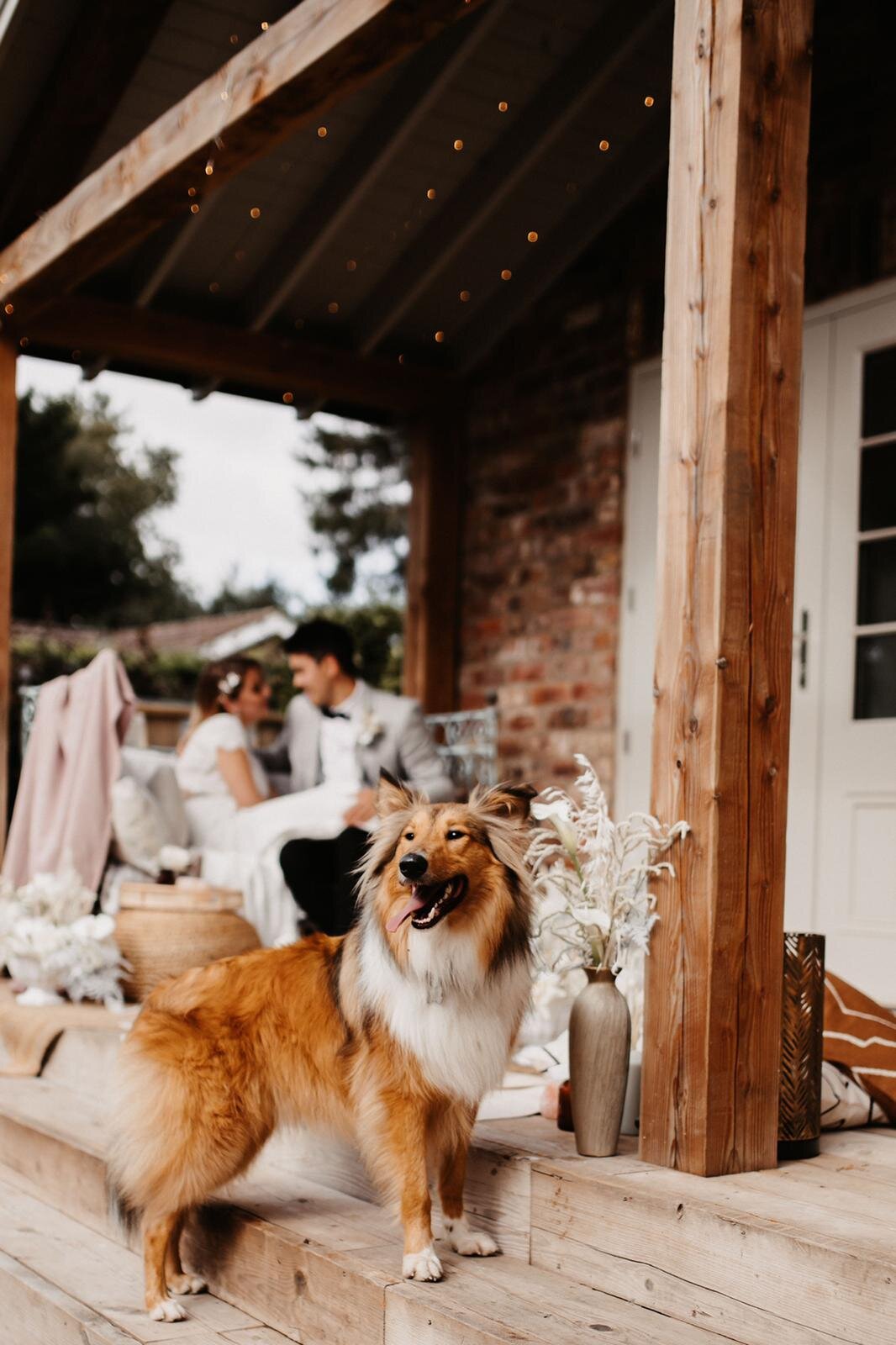 WhatsApp Image 2020-11-26 at 19.03.28.jpeg