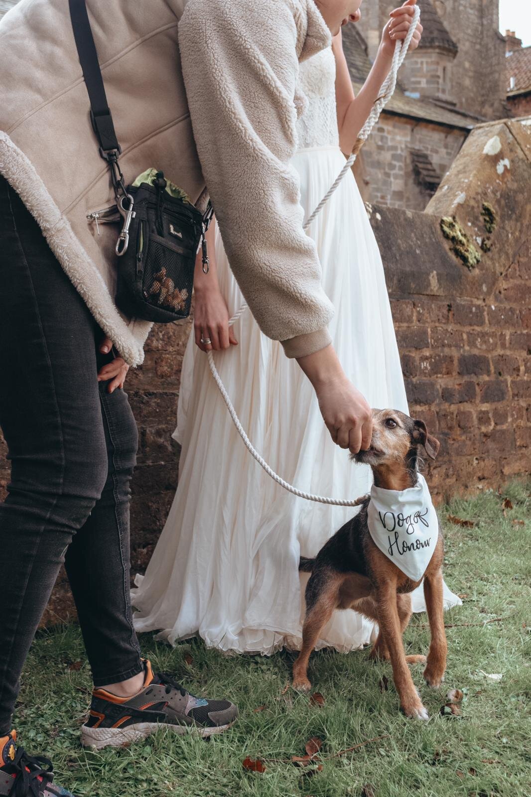 Dogs at Weddings Yorkshire Canine Chaperone Harrrogate