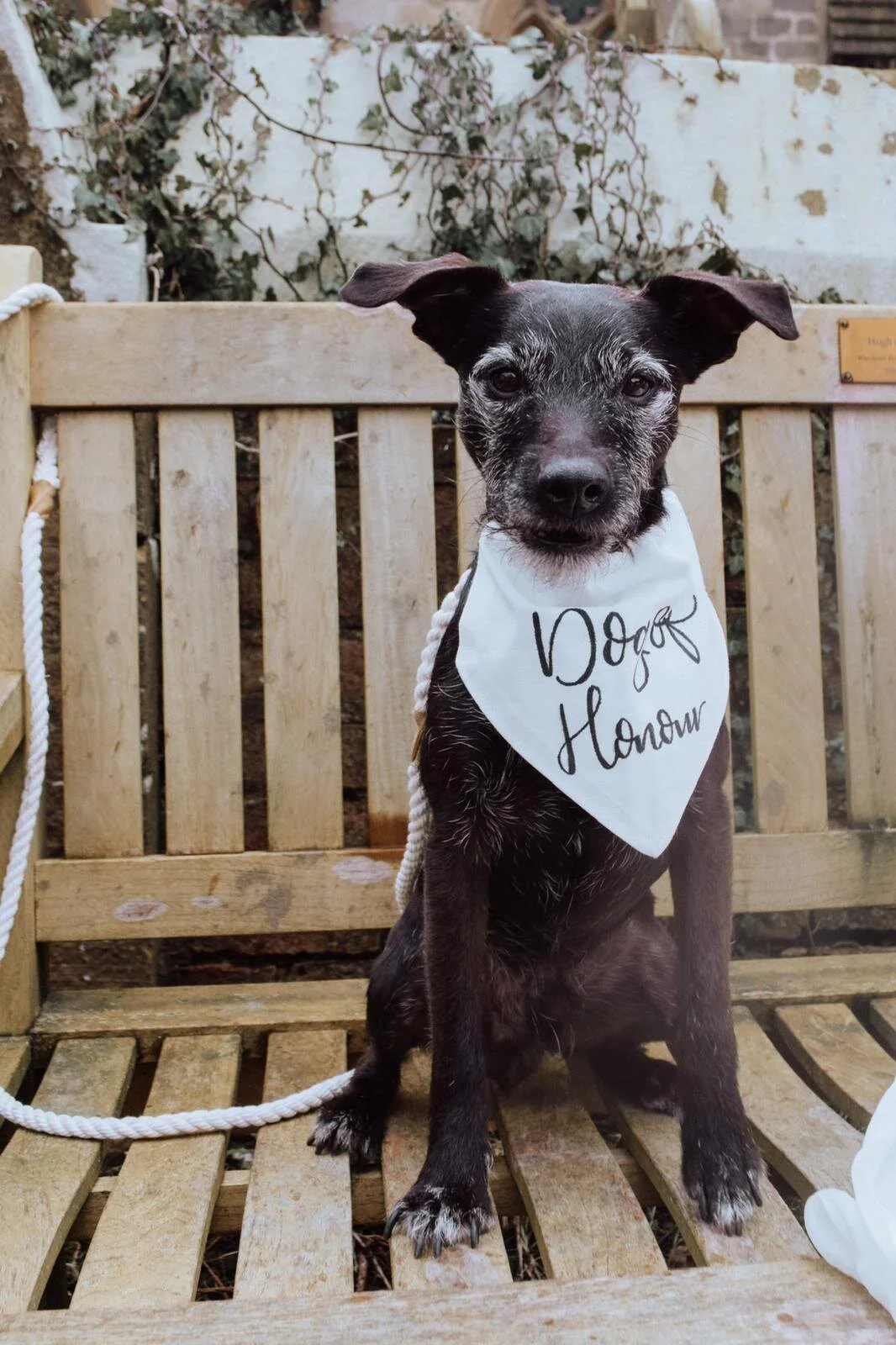 WhatsApp Image 2020-07-11 at 12.38.22.jpeg