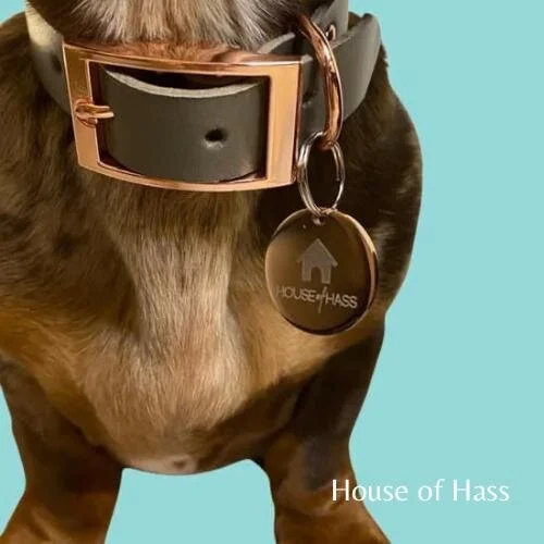 WhatsApp Image 2021-01-14 at 16.44.51.jpeg