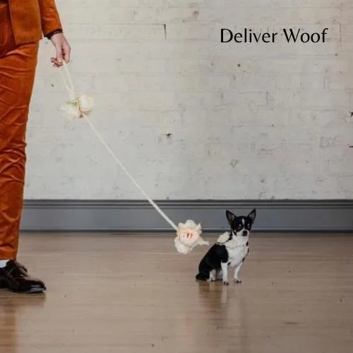 WhatsApp Image 2021-01-14 at 16.44.53.jpeg