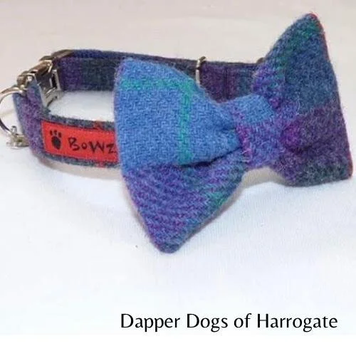 WhatsApp Image 2021-01-14 at 16.51.39.jpeg