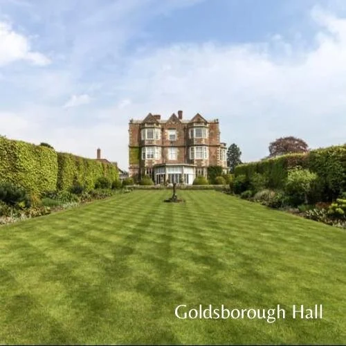 WhatsApp Image 2021-01-14 at 19.49.51.jpeg