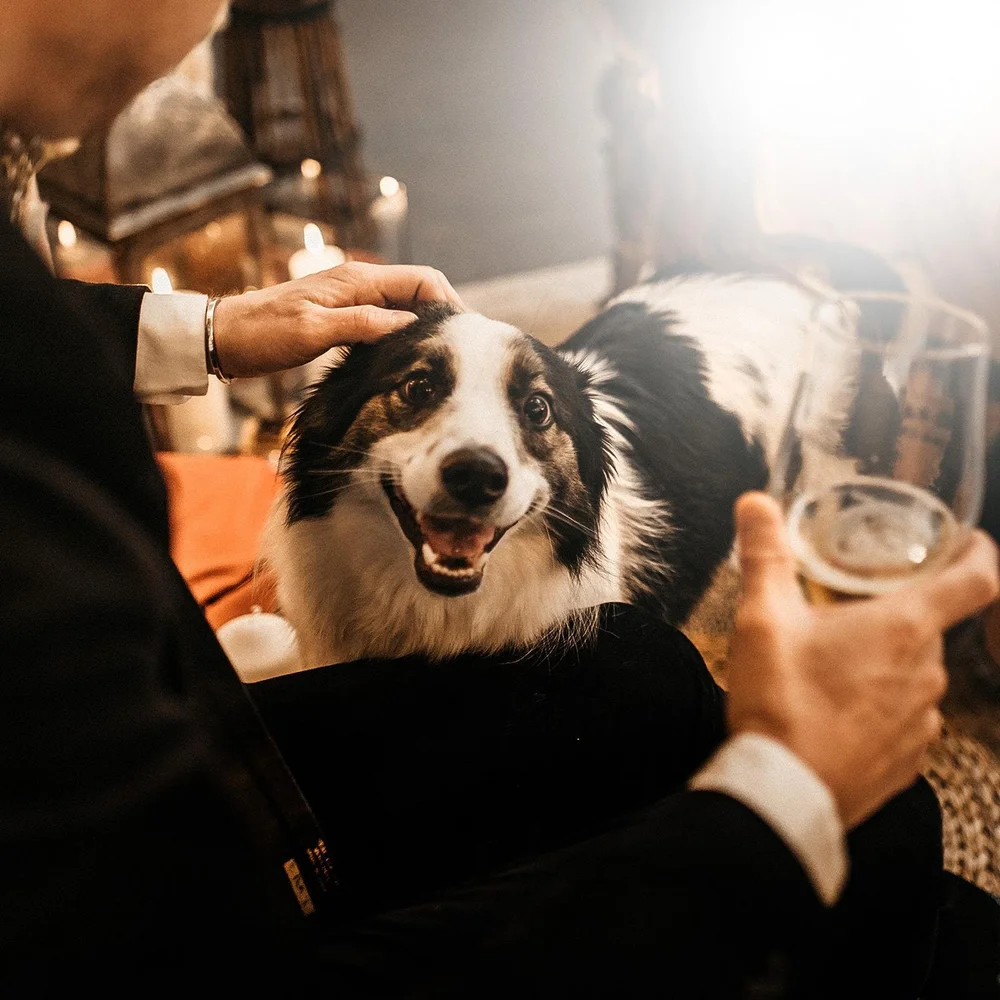 WhatsApp Image 2020-11-26 at.jpeg