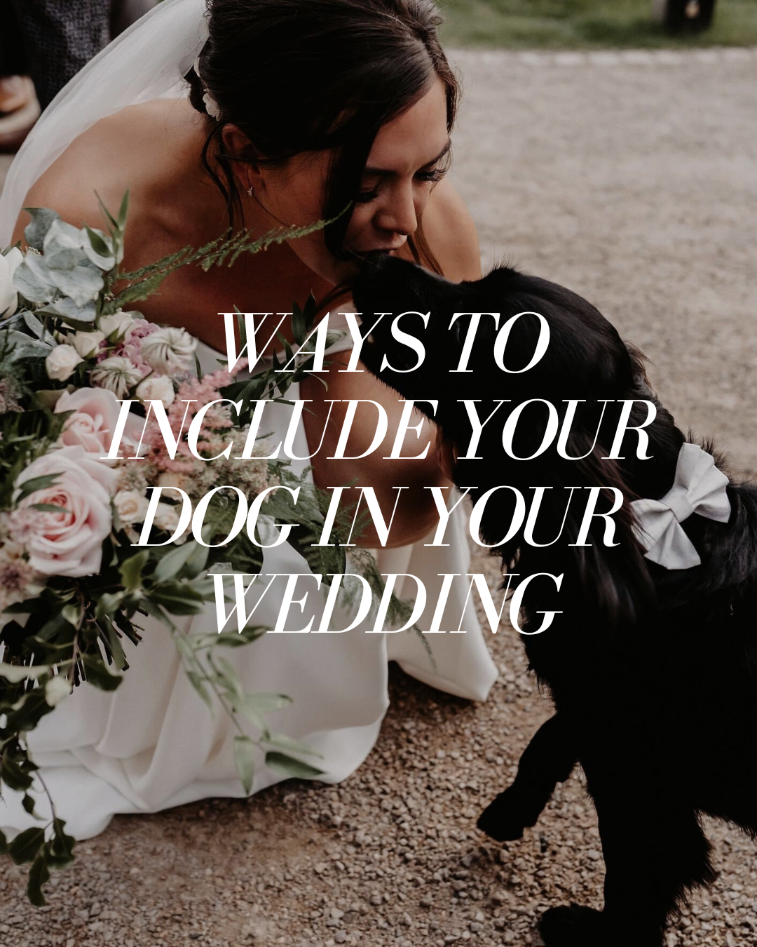 Should Your Dog Be Part of Your Wedding Day? A Guide to Including Your Dog