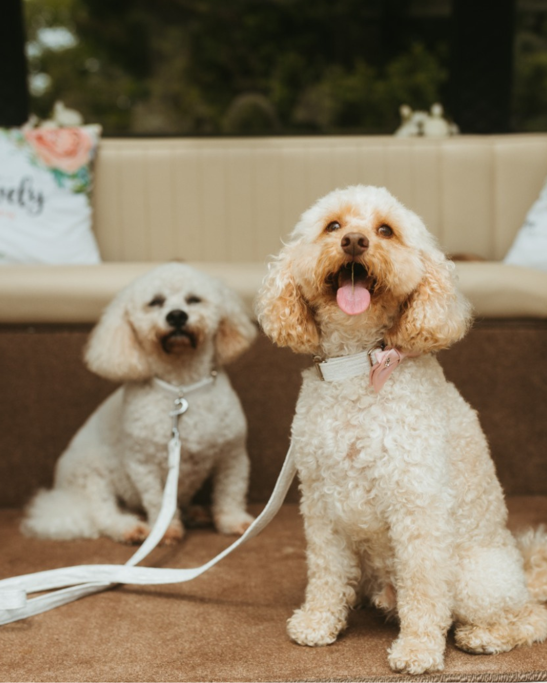 Wharfedale Grange - 21.png