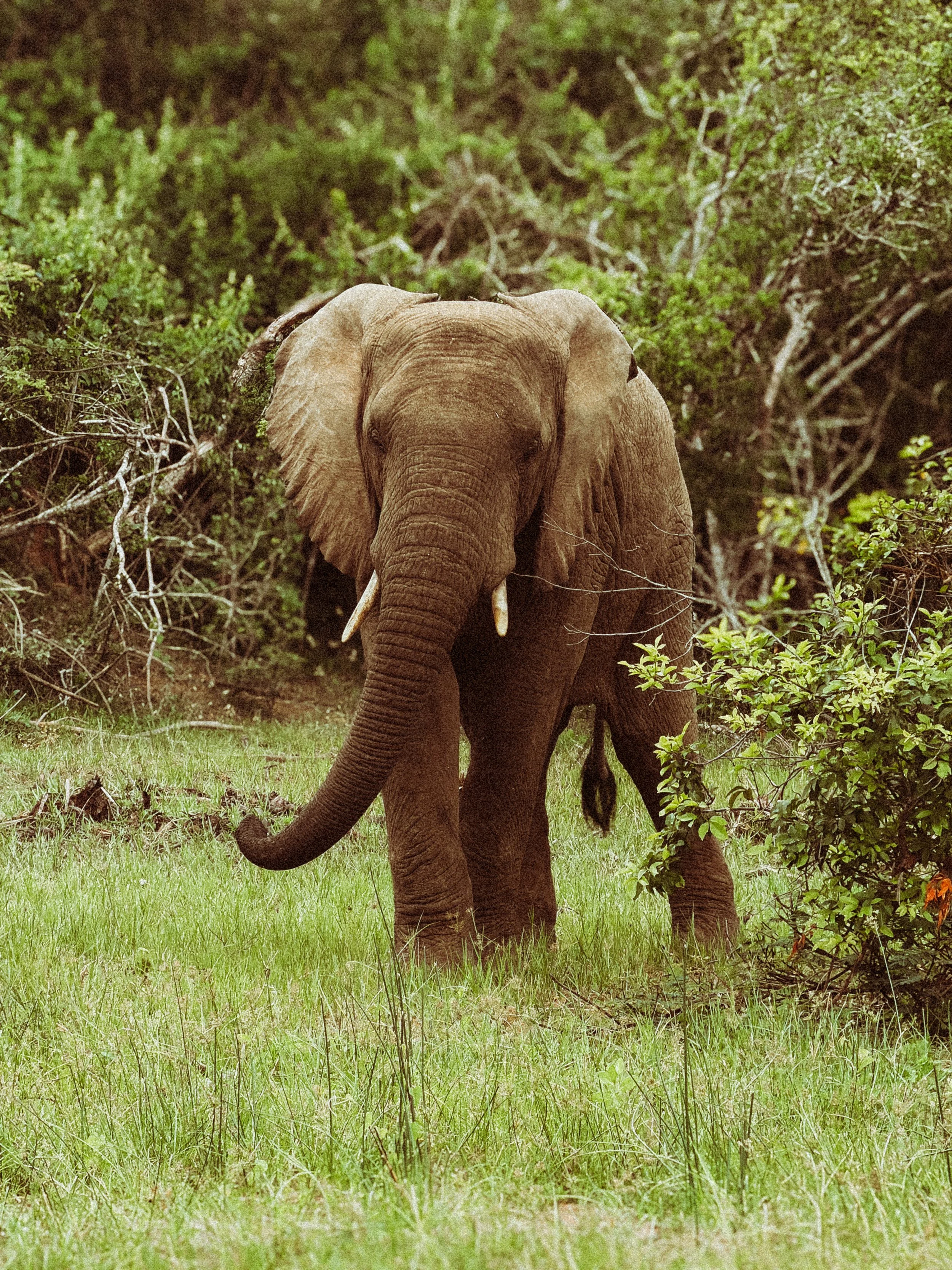 Vintage Explorer: 11 Lightroom Presets for Travel & Adventure