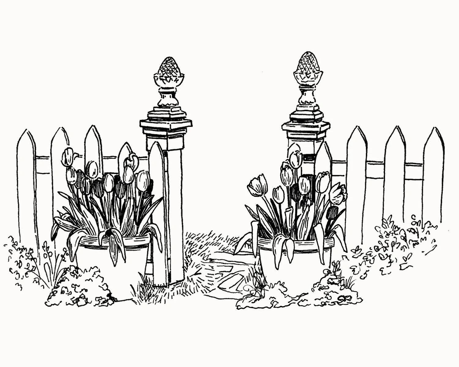 The Garden Journal - interior illustration (2023)
