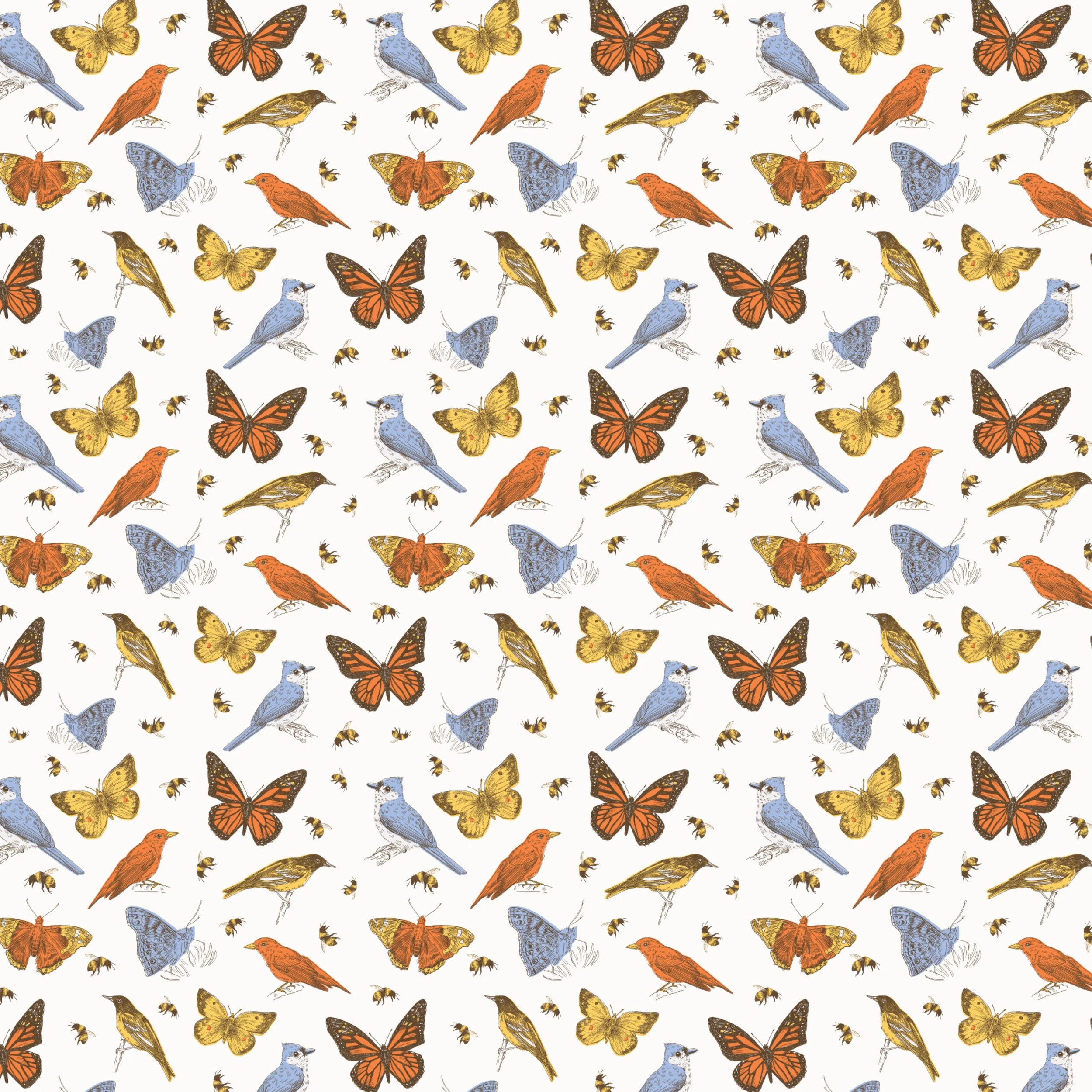 bird_butterfly_white.jpg