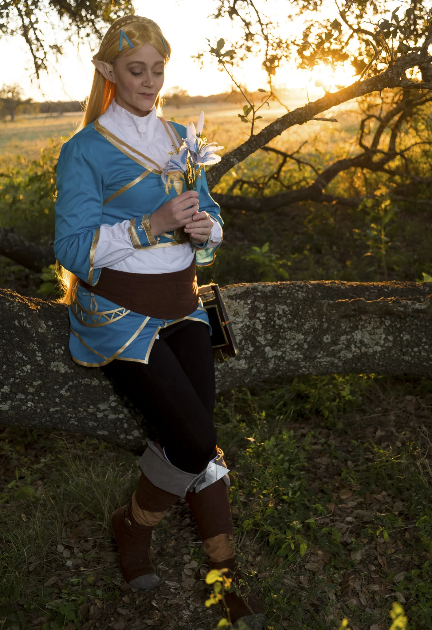 The Walkthrough: Princess Zelda - Breath of the Wild (Adventure version)