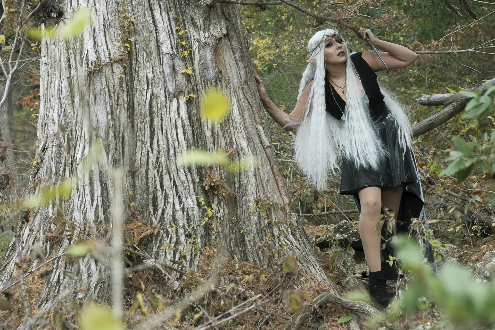 Aenwynn Welcomes You To These Lands, Adventurer