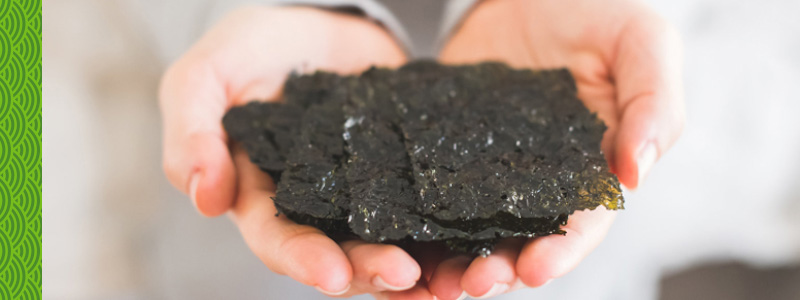 whyseaweed.jpg