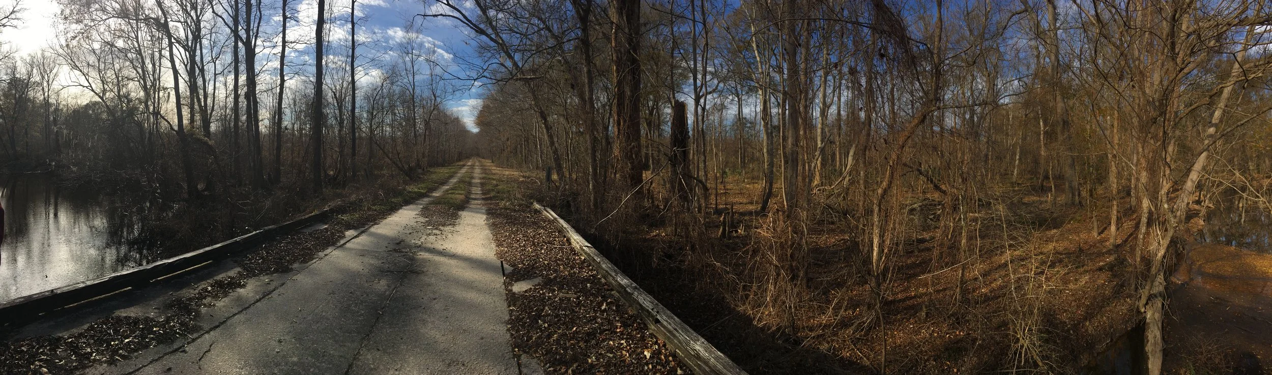 Recess Plantation Billy Exley Private Forest Land SC 5.JPG