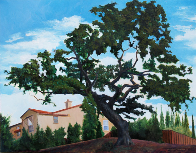 California Oak – Hawk Court