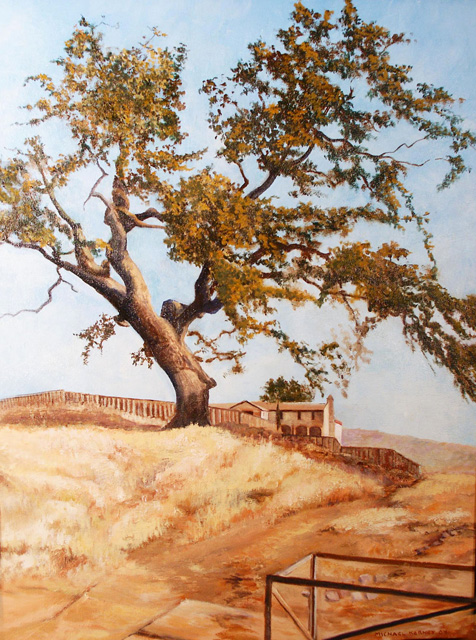 California Oak