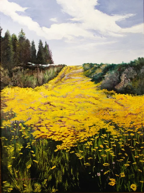 Portuguese Field