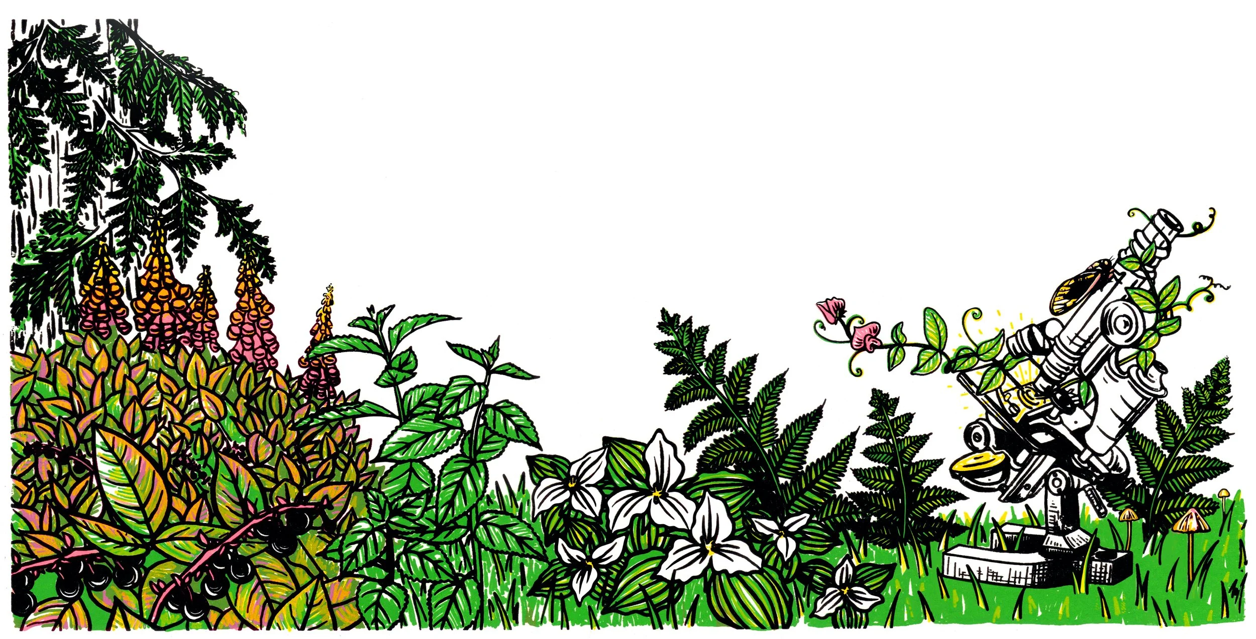 Final Artwork Web cropped.jpeg