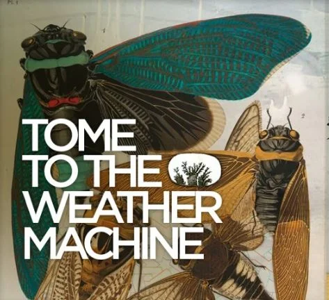 Guest Blogger Ryan Hall Shares Top 2018 Releases