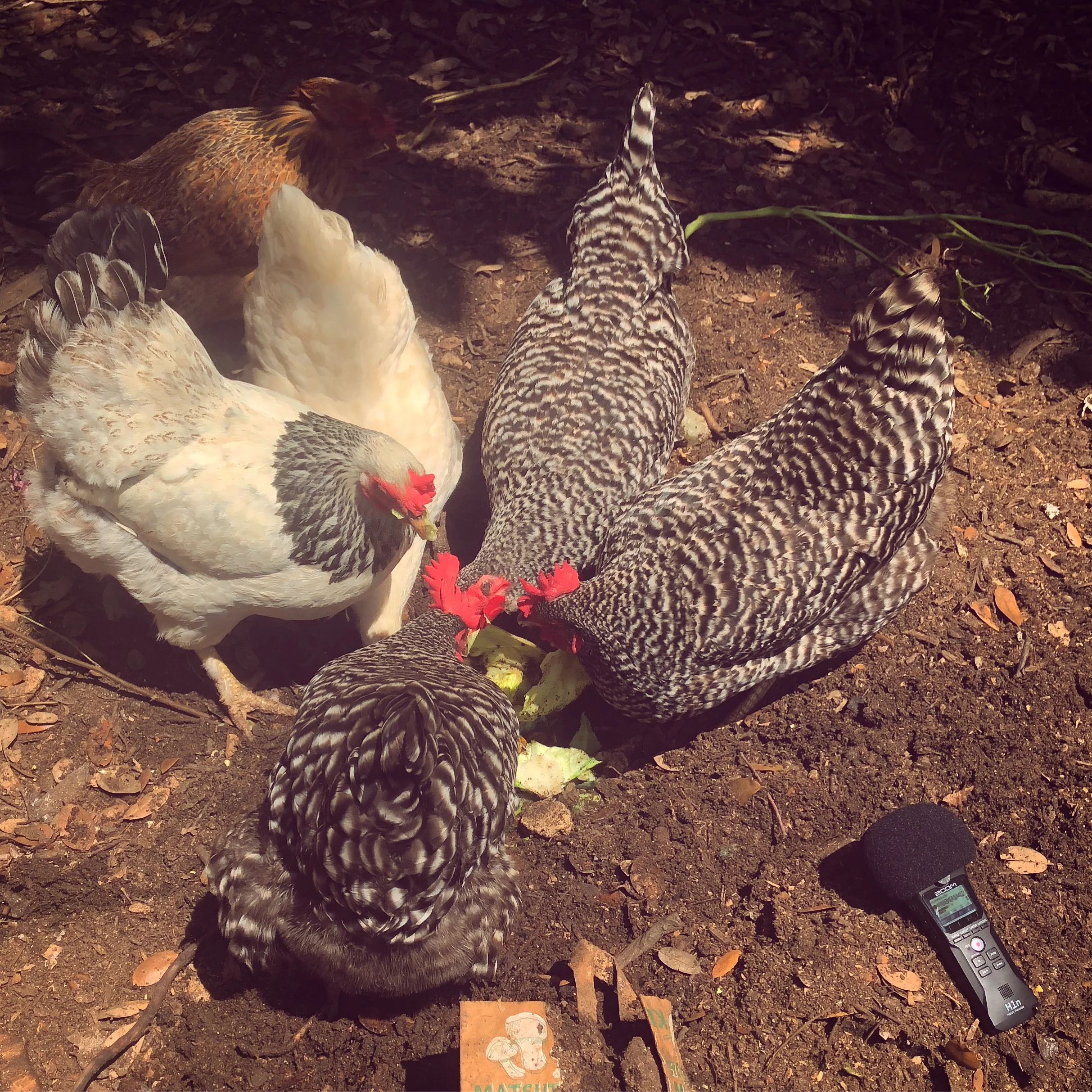 Nothing Natural About Capitalism (Part 2 of 2) with Ryan Rosshirt 