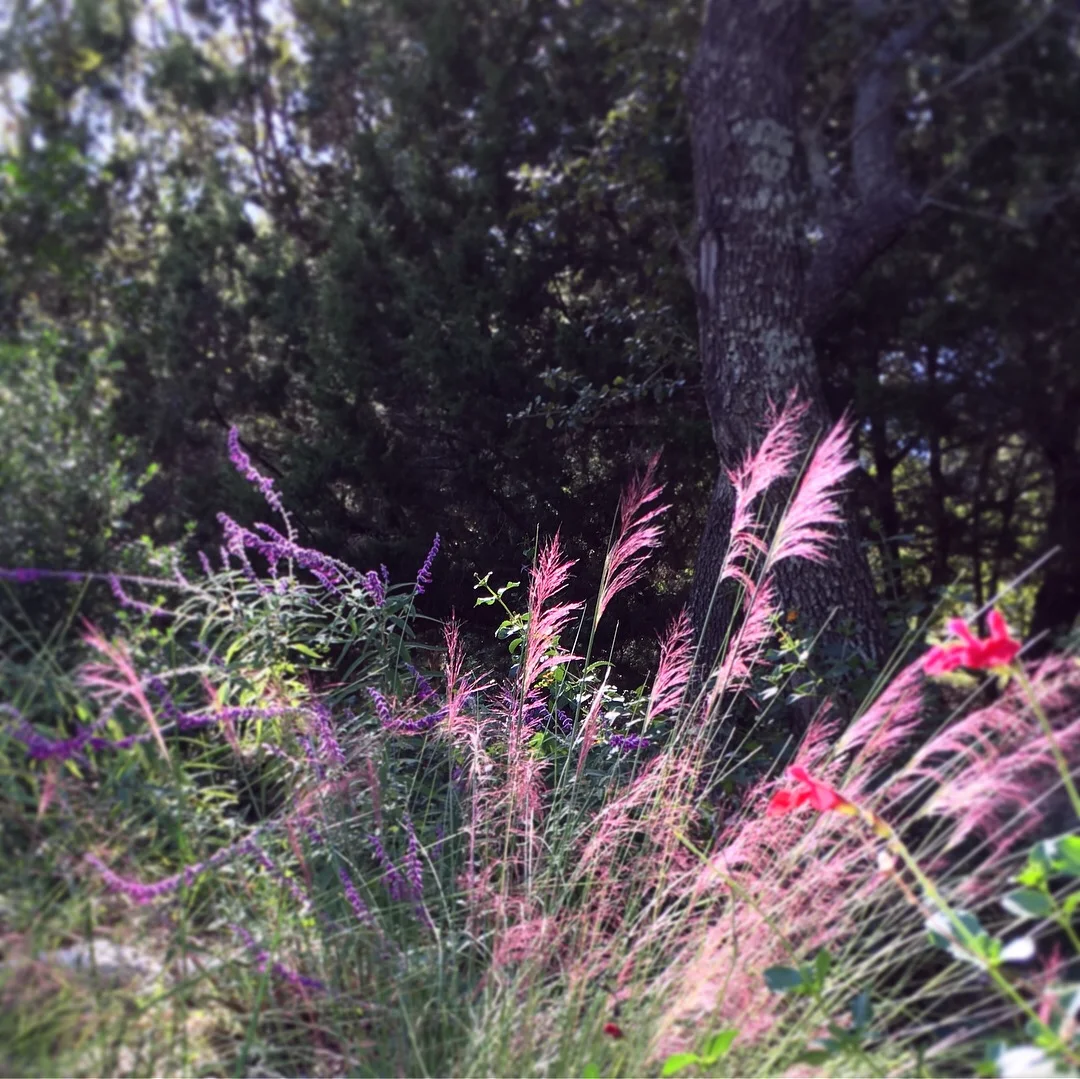 Healing Spaces with Jenny Peterson