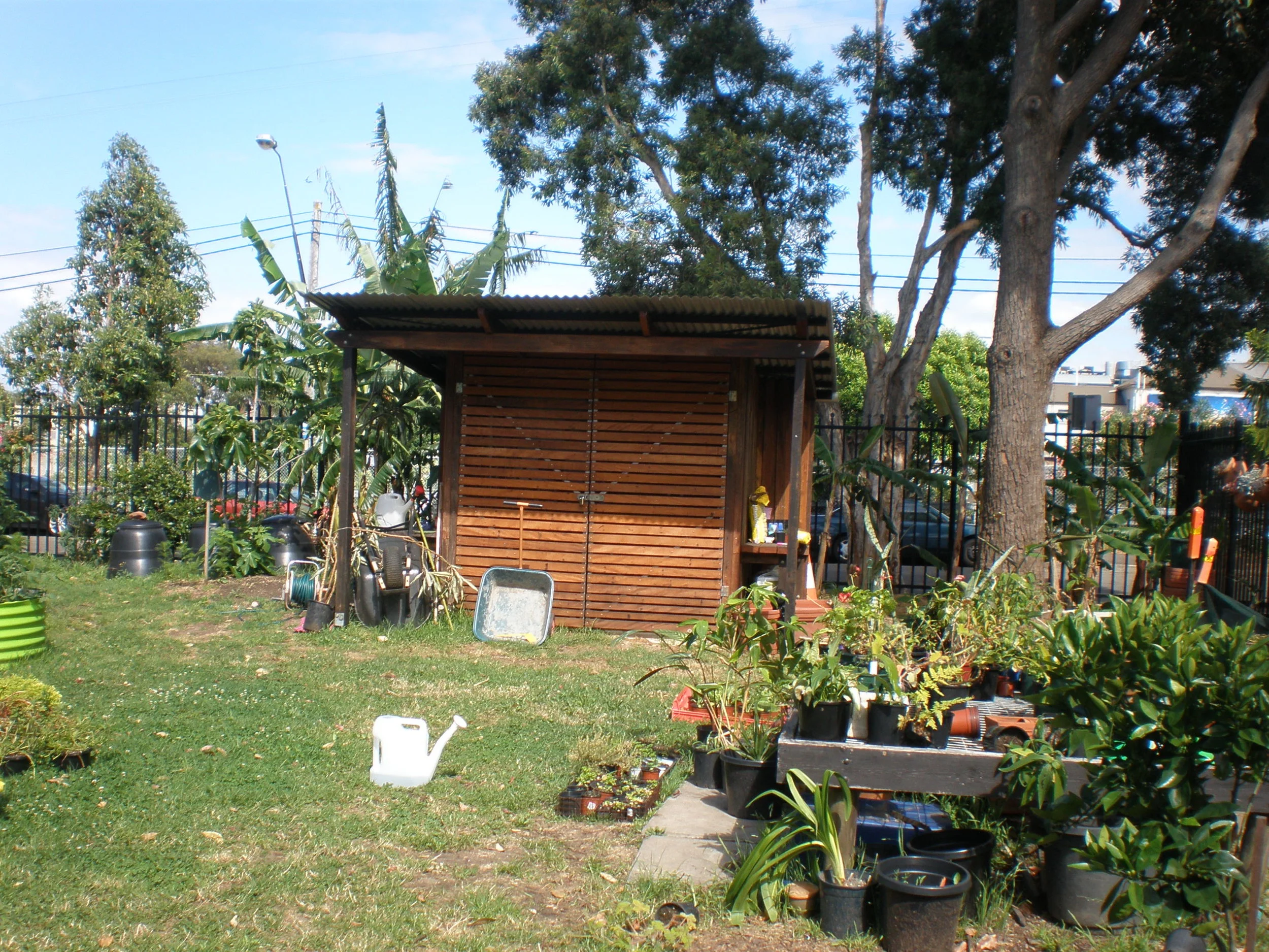 PB110041.JPG