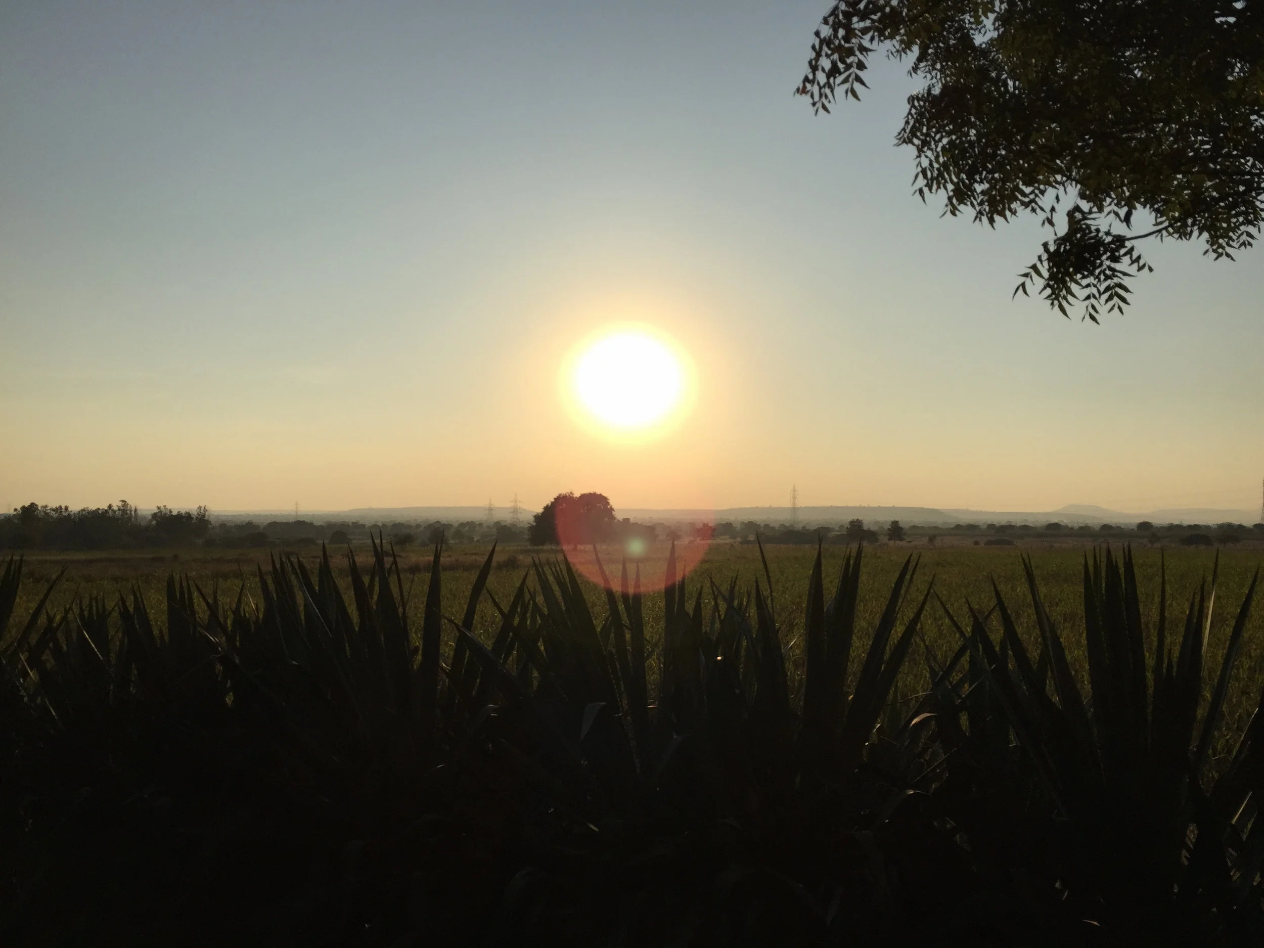 Transcend Counseling — Private Therapy in Wilton Manors, FL