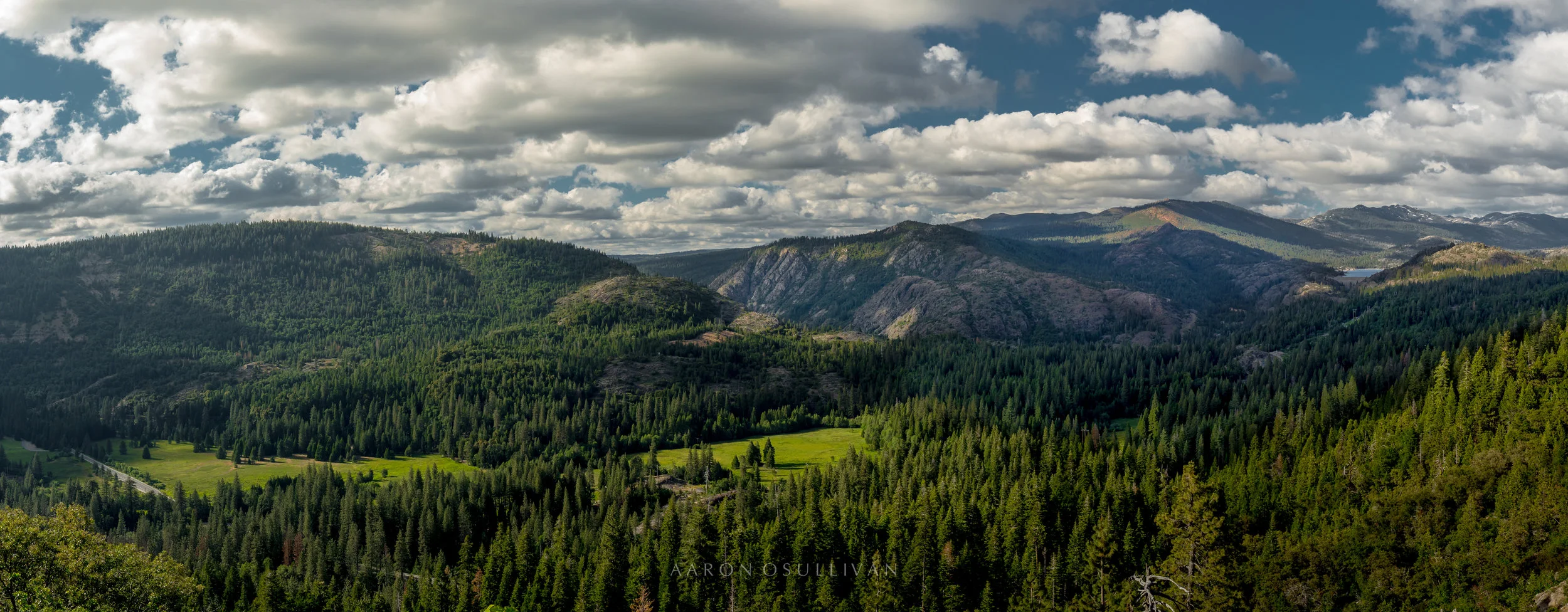 20170611-FOR FOR PHOTOG WEBPAGE HR WM WEB14.jpg