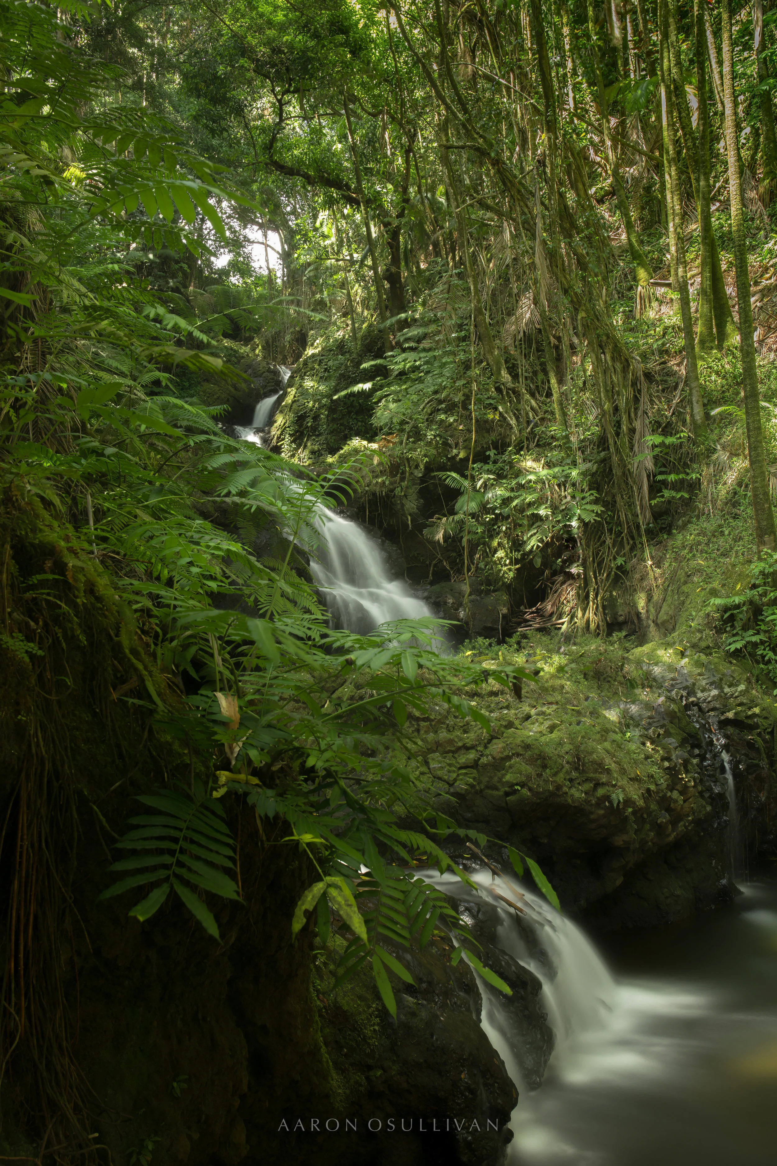 20170218-FOR FOR PHOTOG WEBPAGE HR WM WEB8.jpg