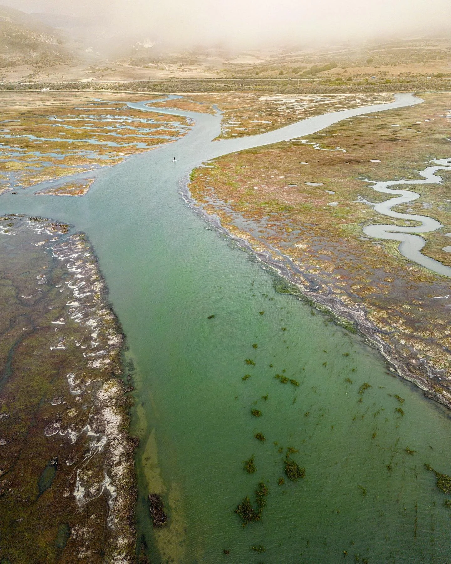 Following these little channels at high tide on a paddle board&hellip;.I&rsquo;m so in. And thru a bird estuary no less. Endless sights and sounds, with the occasional bald eagle 🦅 sighting. (apologies to the chill guy on his SUP who became unexpect