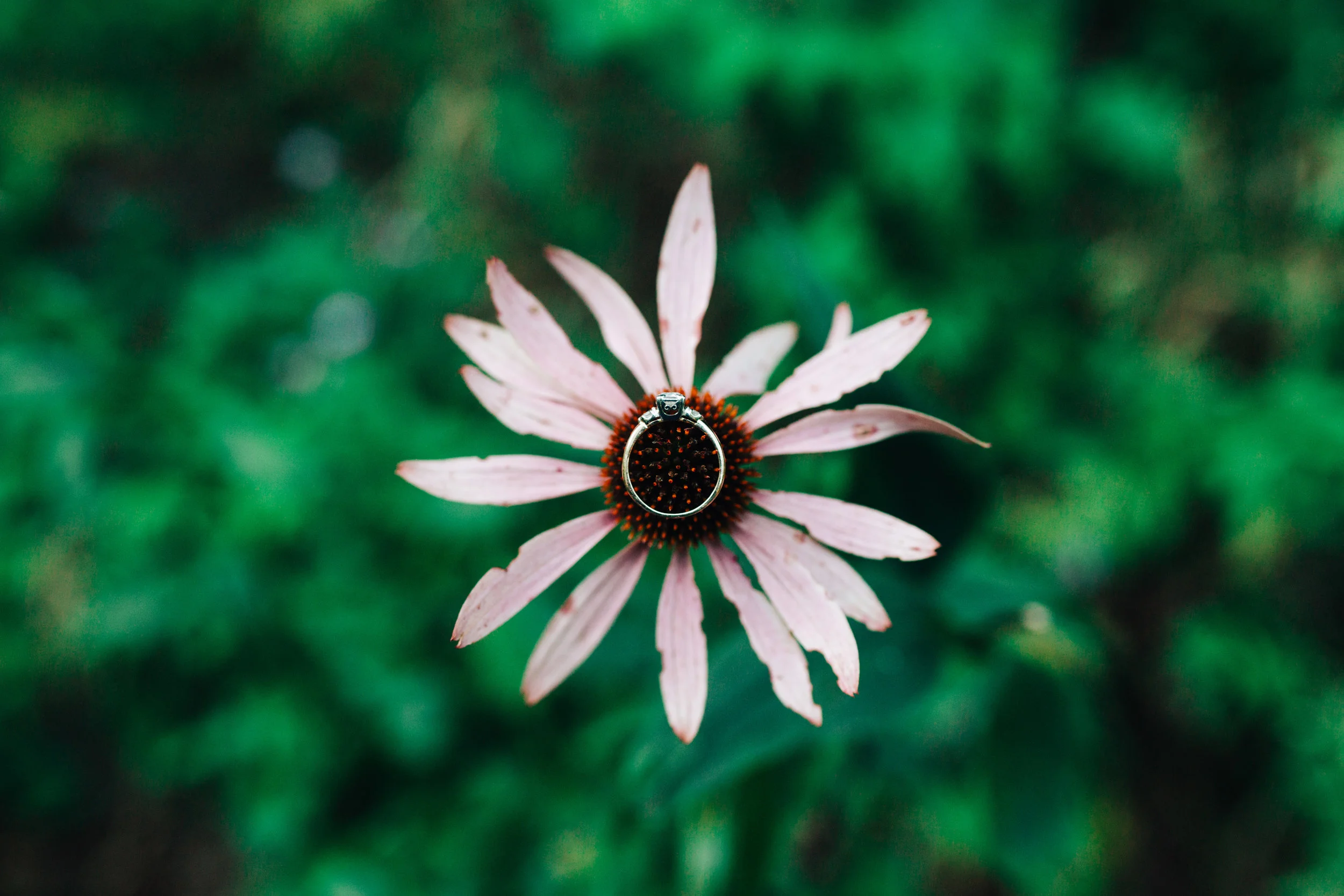 LexiandWillEngagement-90.jpg