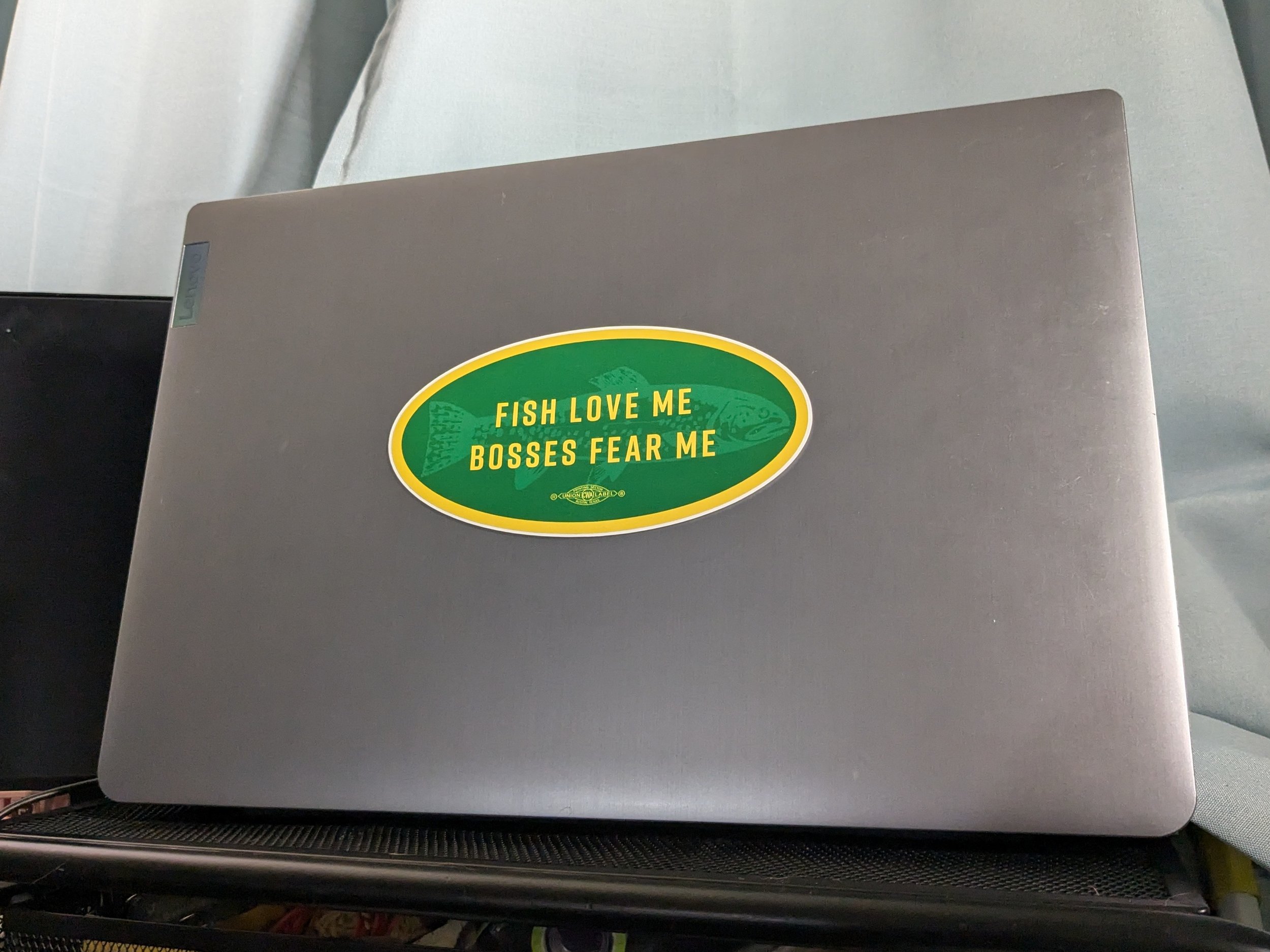 fishSticker_laptop1.jpg