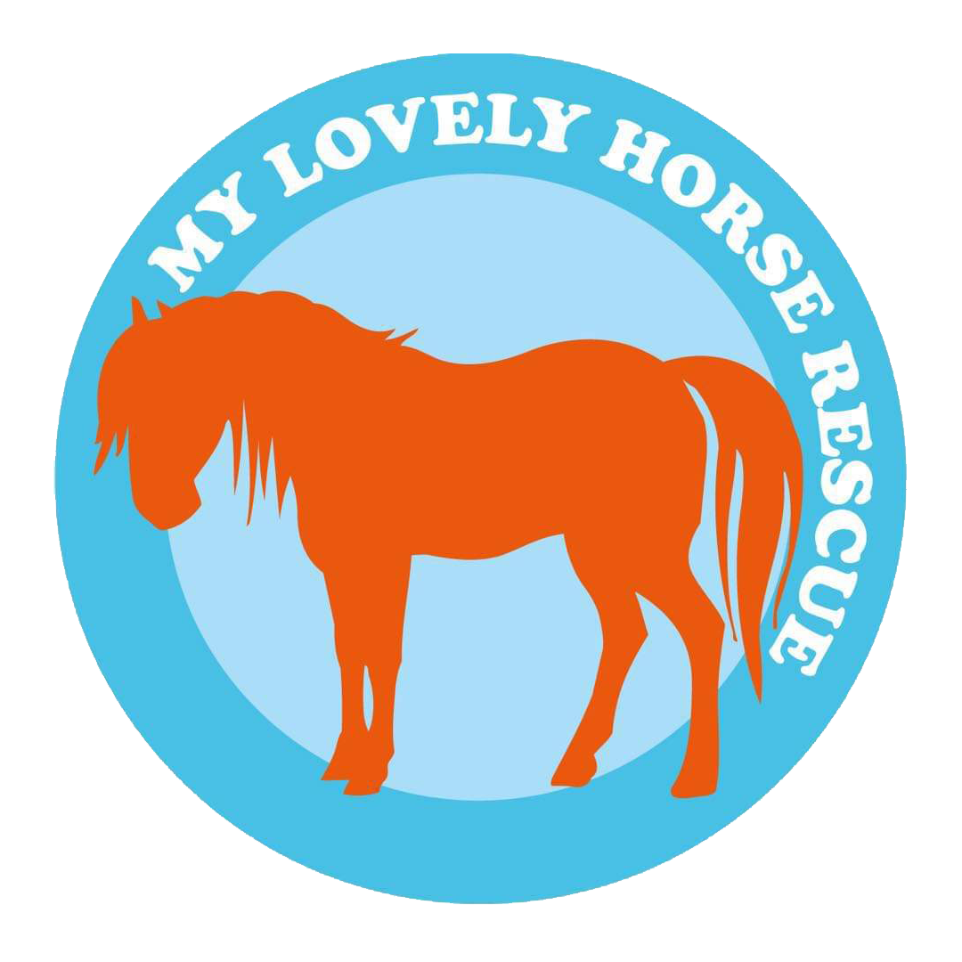 my lovley horse.png