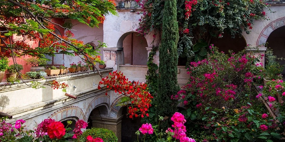 lushgarden.jpg