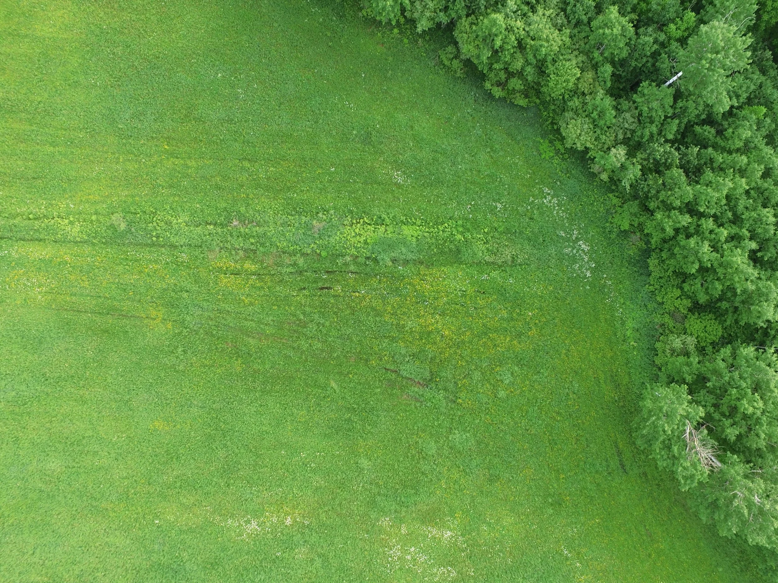 fields.jpg