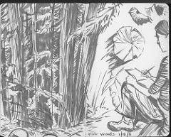Sketchbook pages from a visit to Muir Woods in Northern California.