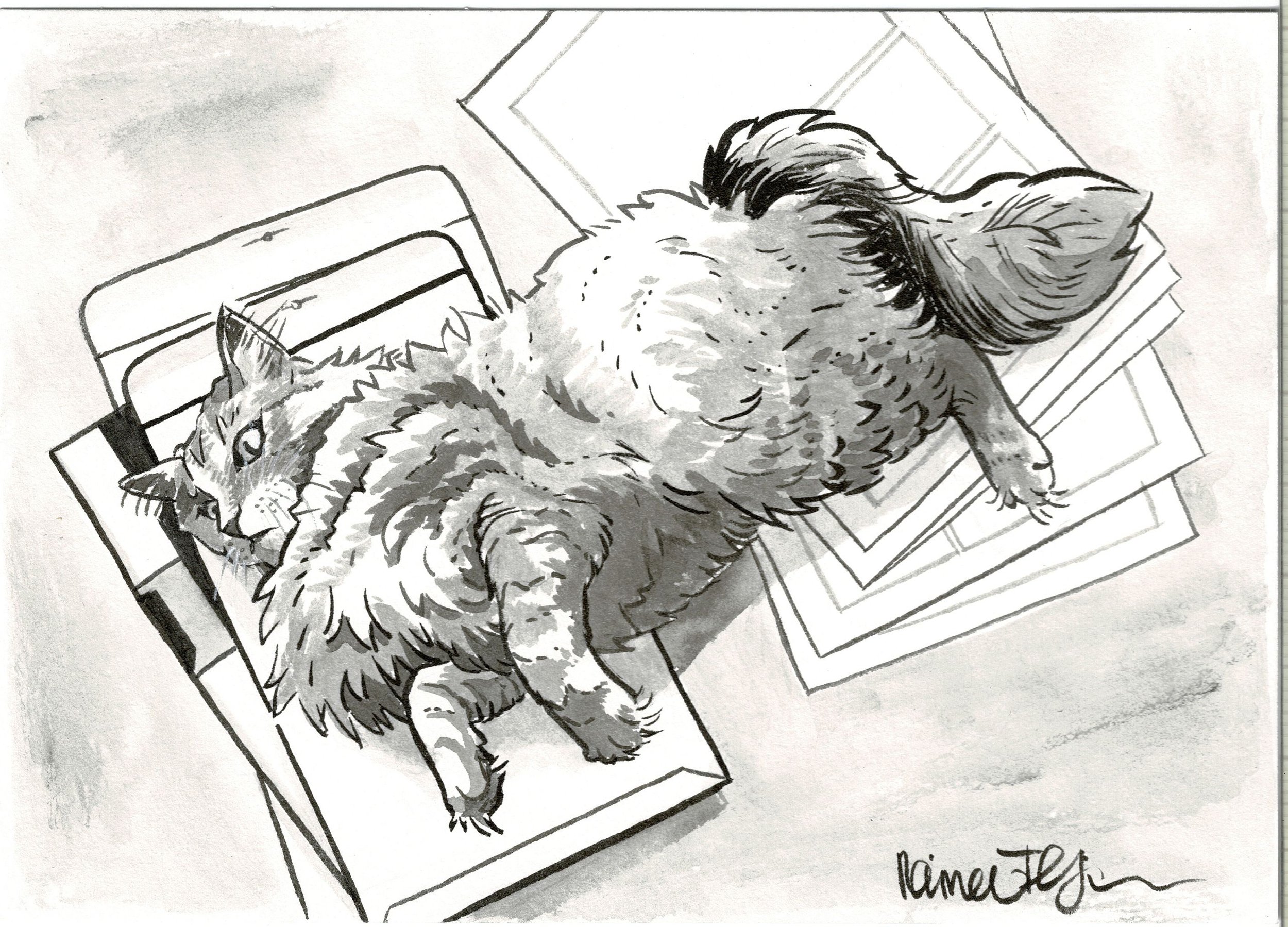 "Cartoonist's Cat 1"