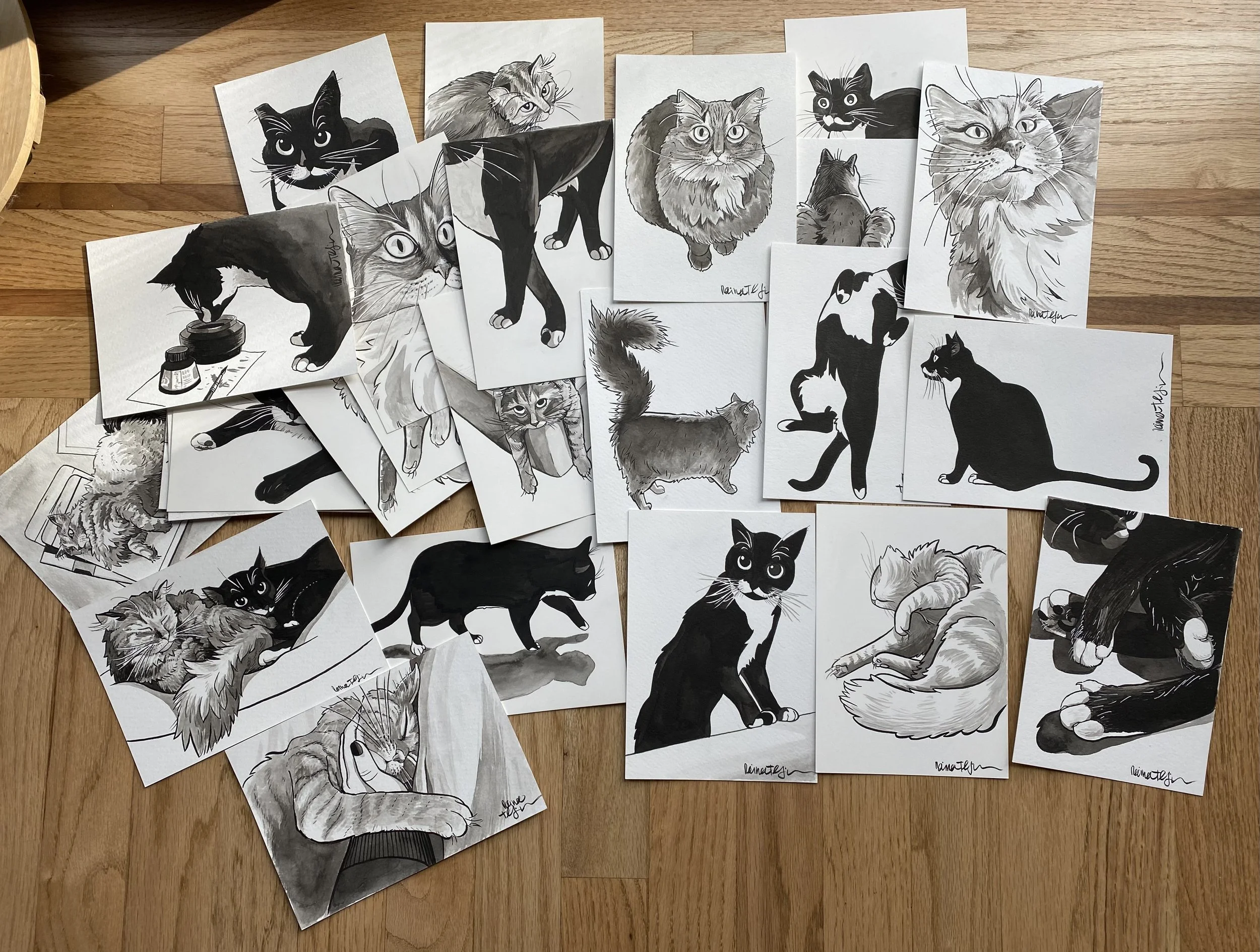 Raina's October Cat Series — An Auction to Benefit the Trevor Project