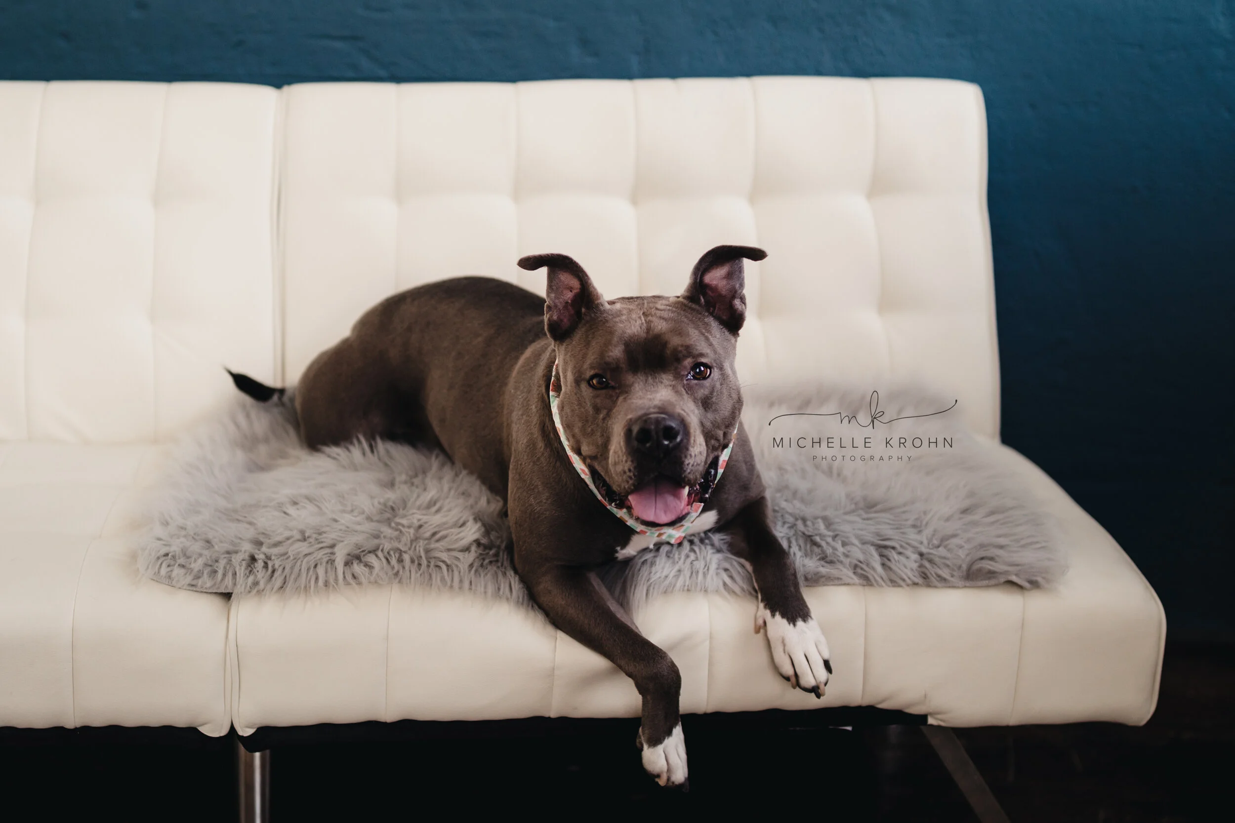 unbreakable bullies rescue