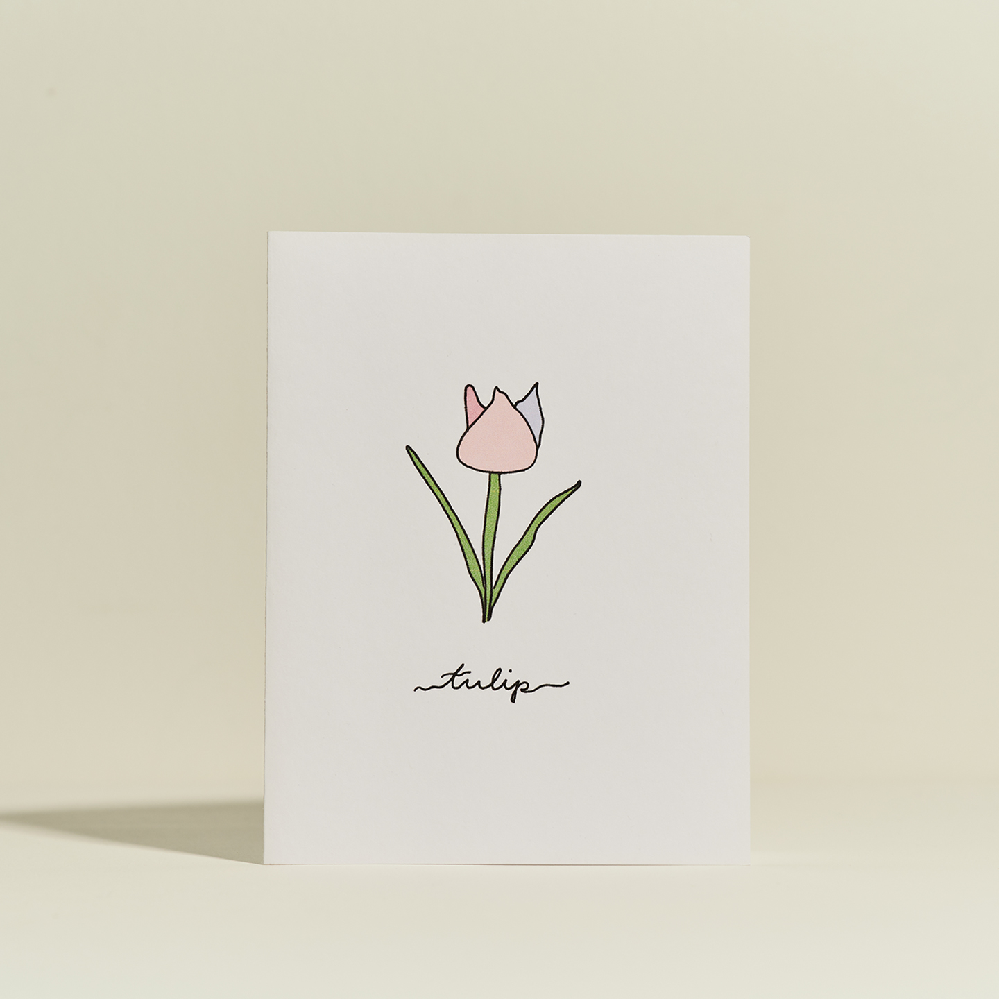 Tulip.jpg