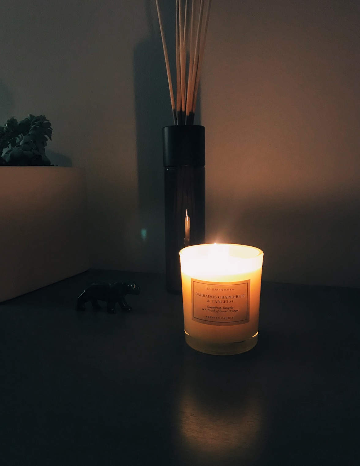 Illuminaria Candle Review 1 .png